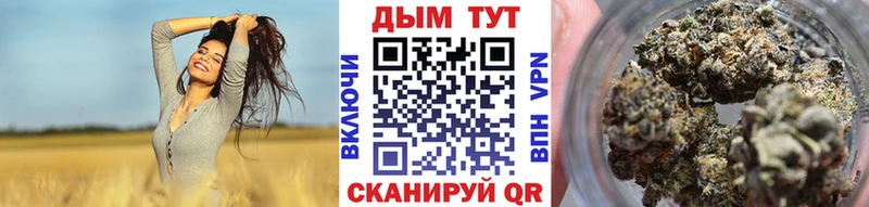 Где найти наркотики Новоржев hydra вход  КОКАИН  ГАШИШ  Alpha-PVP  АМФЕТАМИН  Меф мяу мяу  Конопля 