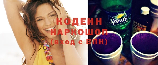 индика Верхний Тагил