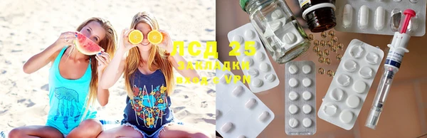 стафф Волоколамск