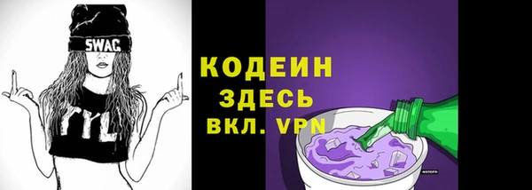 индика Верхний Тагил