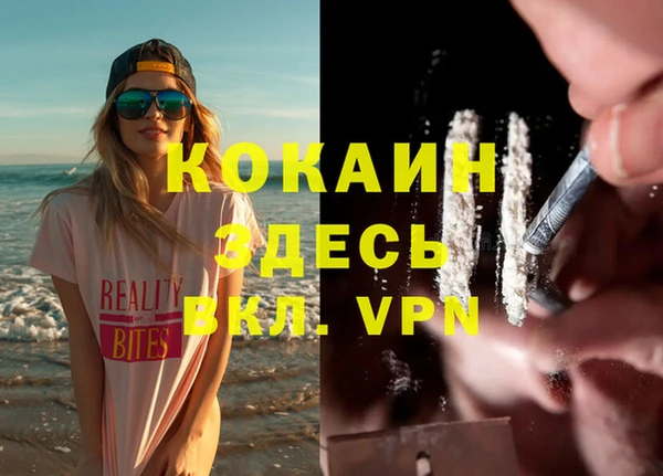 индика Верхний Тагил