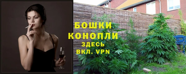 индика Верхний Тагил